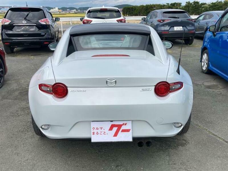 ROADSTER RF