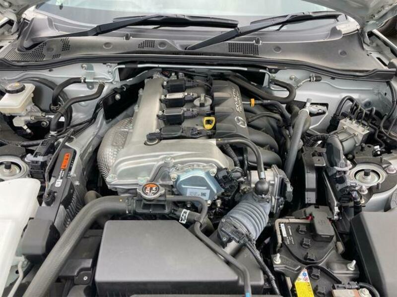 ROADSTER RF
