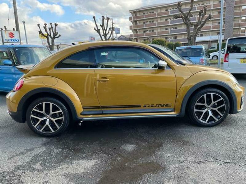 THE BEETLE