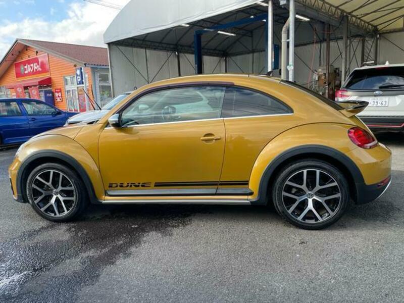 THE BEETLE