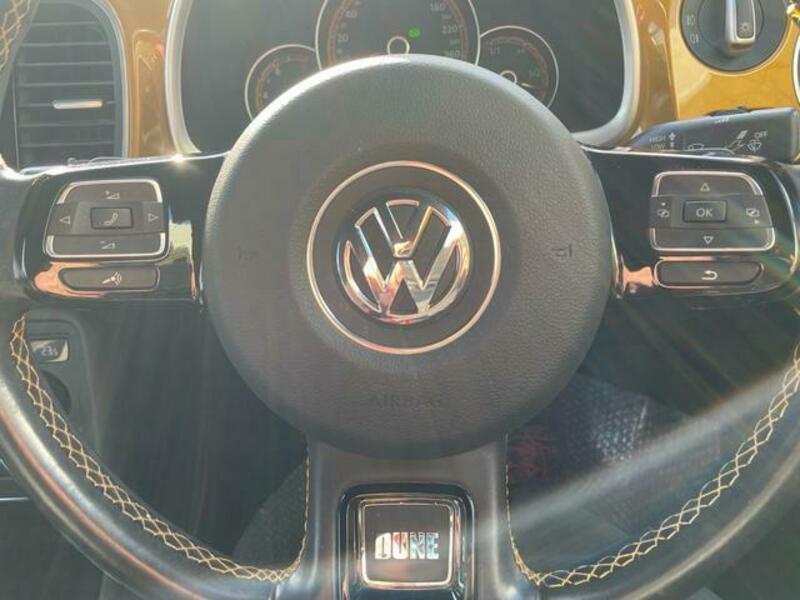 THE BEETLE