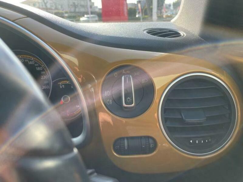 THE BEETLE