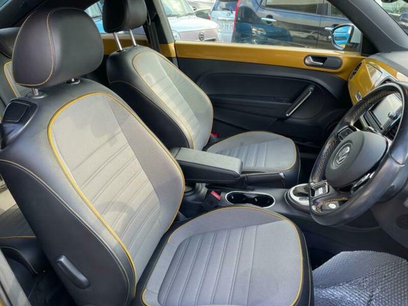 THE BEETLE