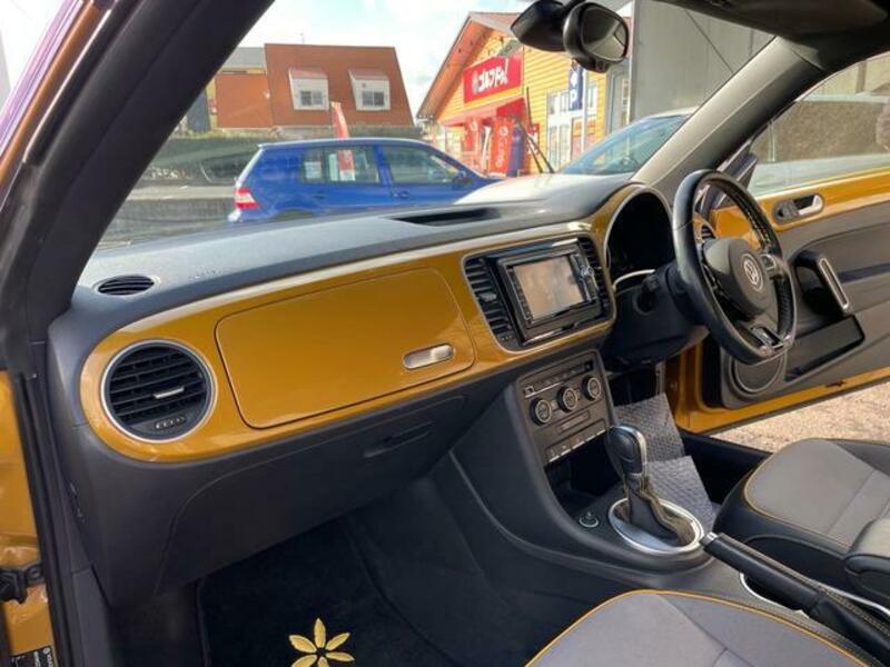 THE BEETLE