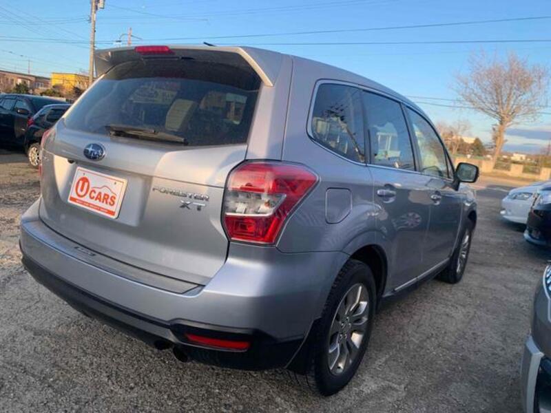 FORESTER