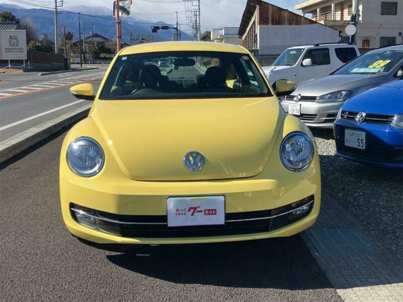 THE BEETLE