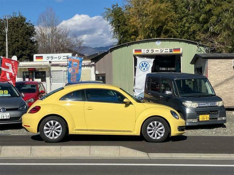 THE BEETLE