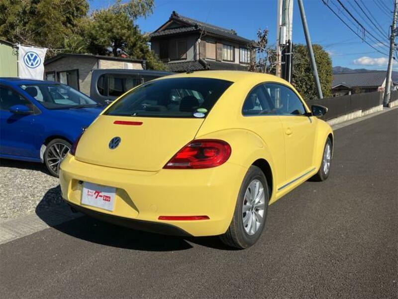 THE BEETLE