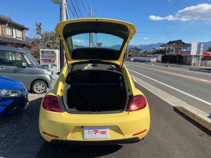 THE BEETLE