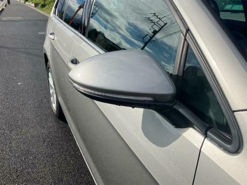 GOLF VARIANT