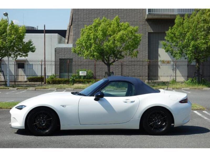 ROADSTER
