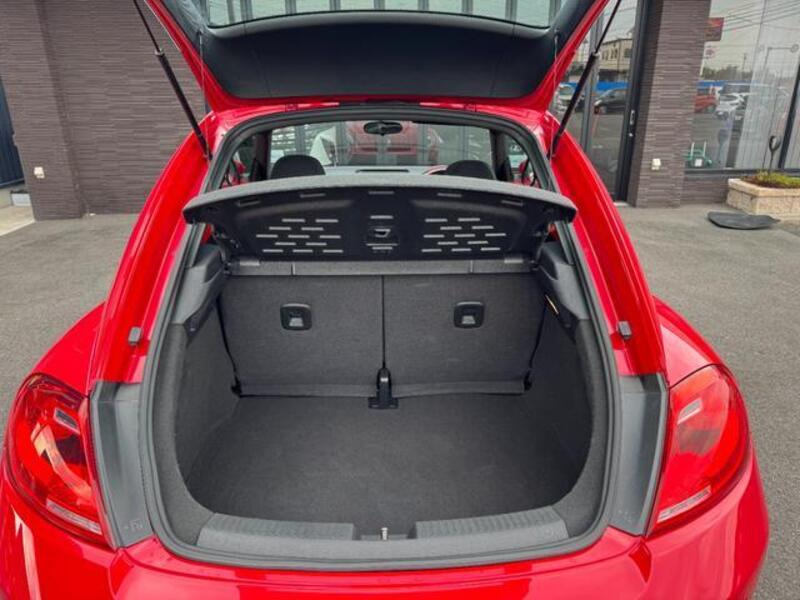 THE BEETLE