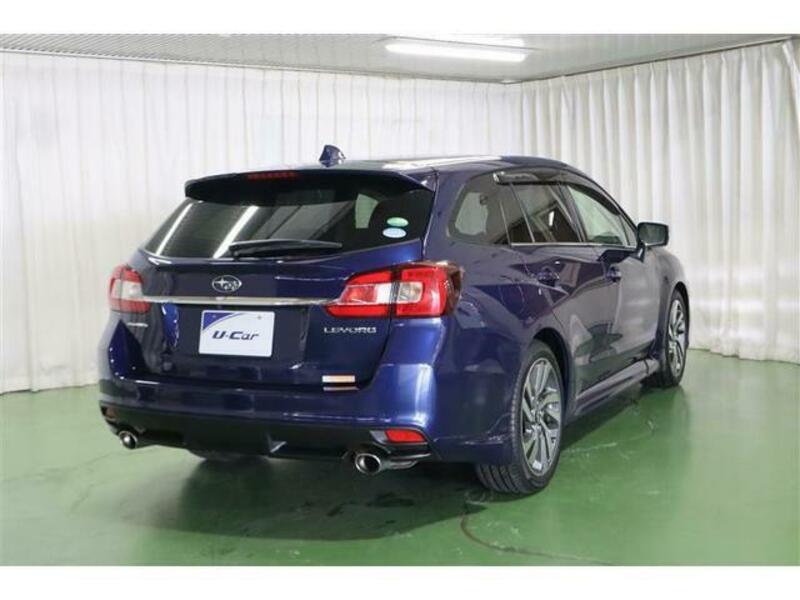 LEVORG