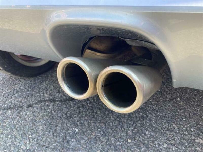 LUPO