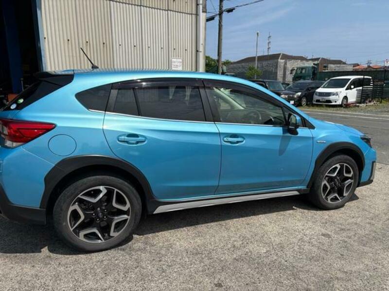 XV