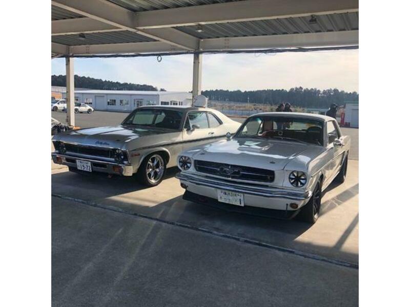 MUSTANG