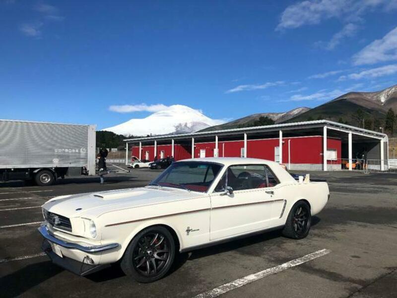 MUSTANG