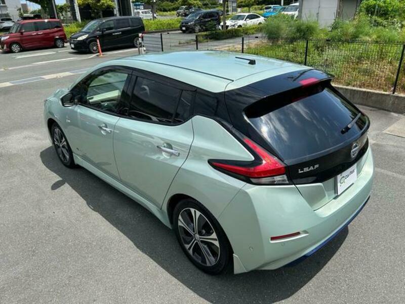 LEAF