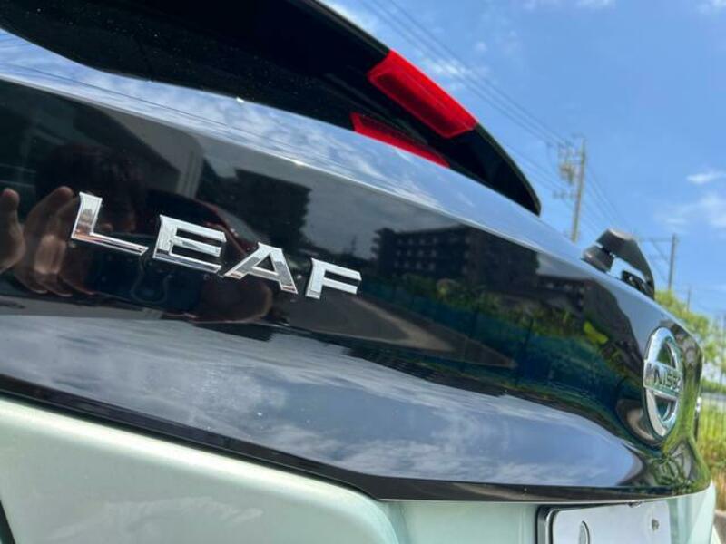 LEAF