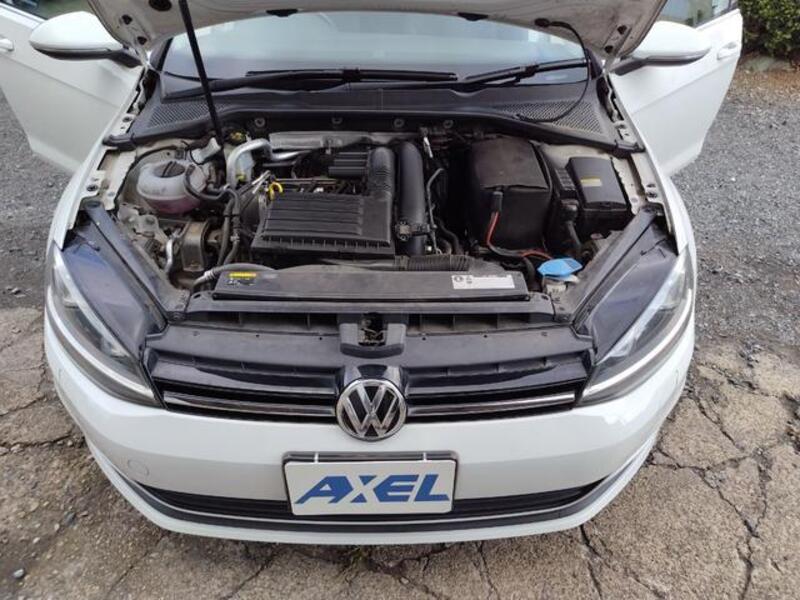 GOLF VARIANT
