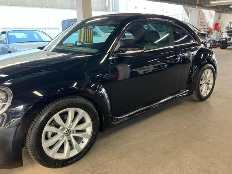 THE BEETLE