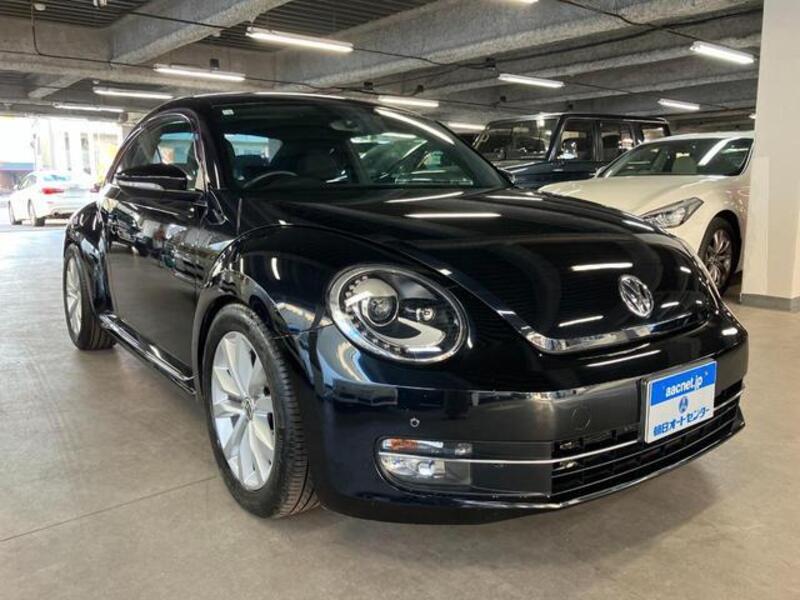 THE BEETLE