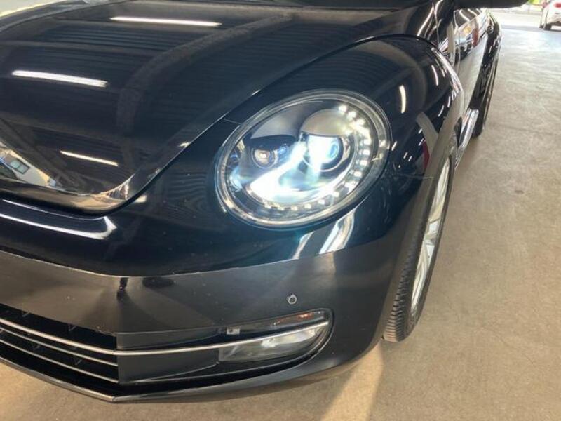 THE BEETLE