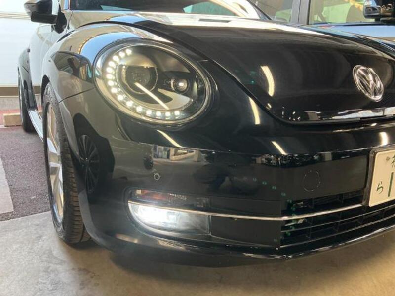 THE BEETLE