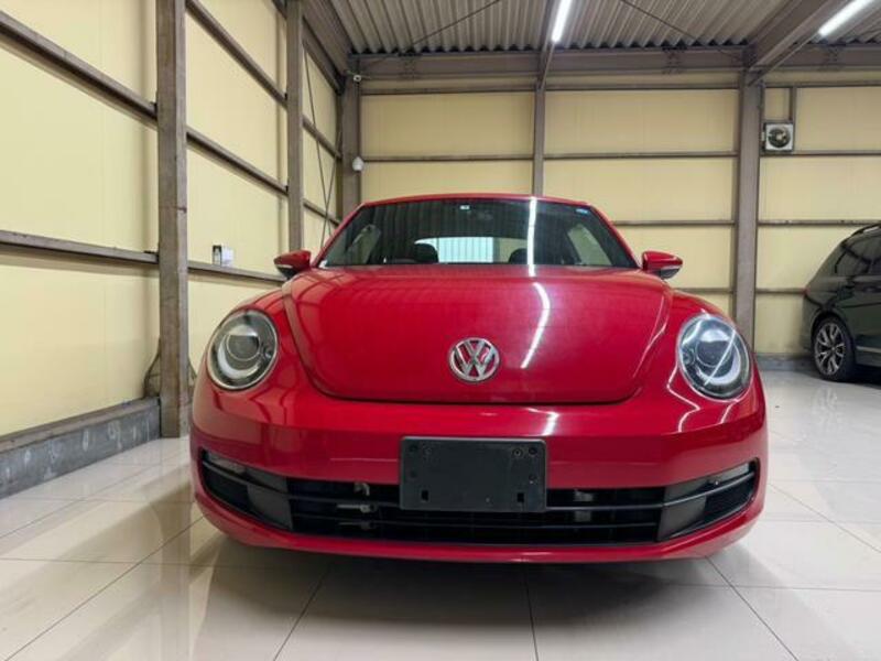 THE BEETLE