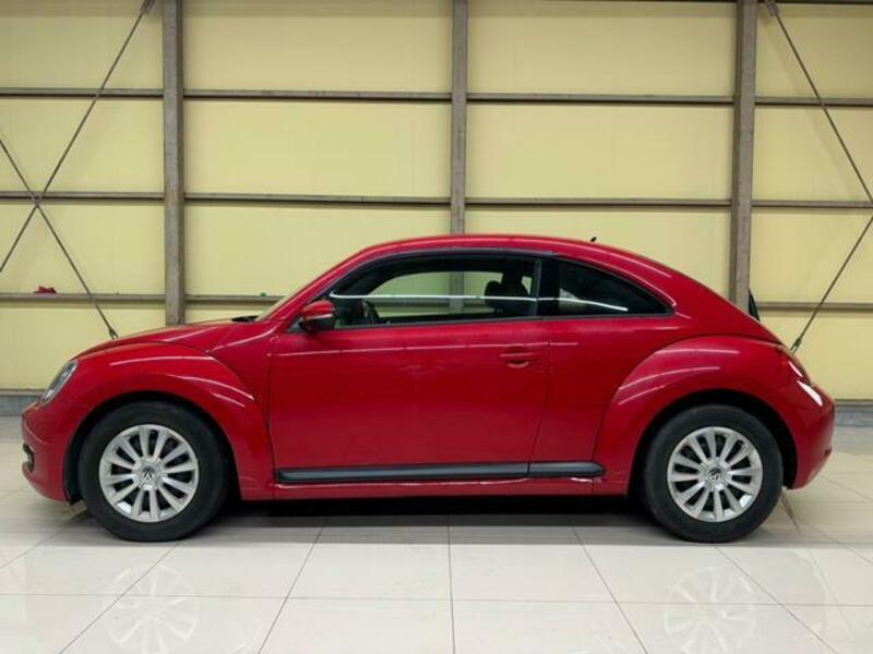 THE BEETLE