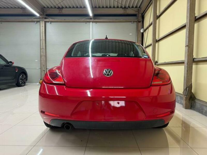 THE BEETLE