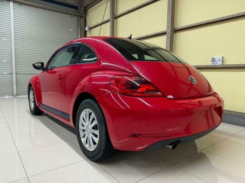 THE BEETLE