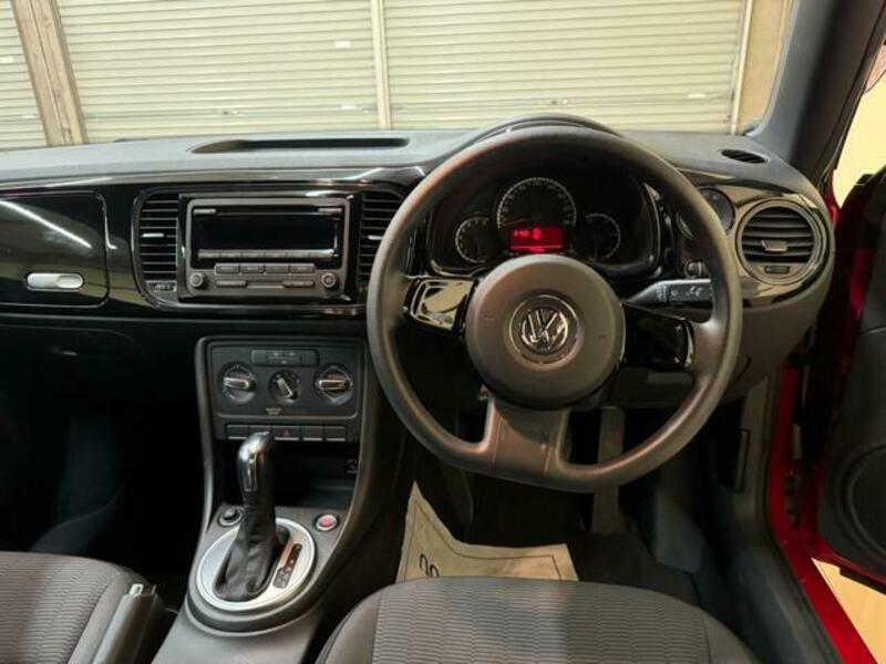 THE BEETLE