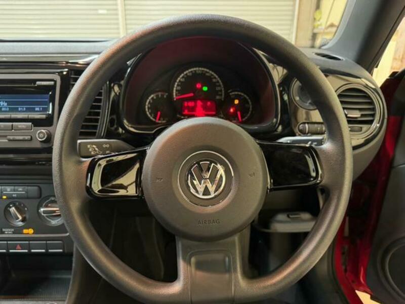 THE BEETLE