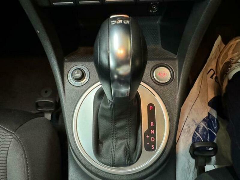 THE BEETLE