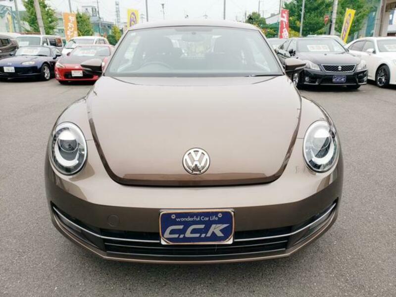 THE BEETLE
