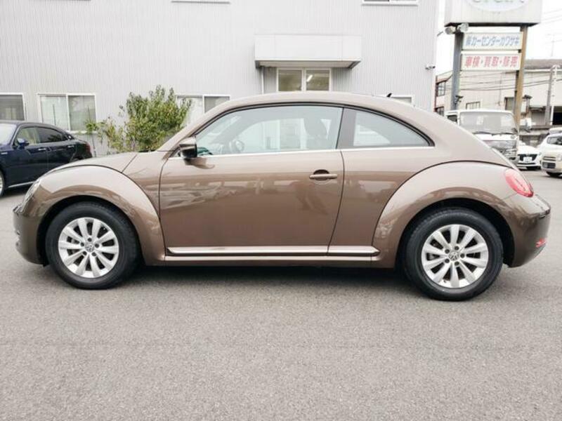 THE BEETLE