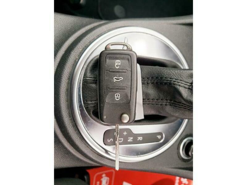 THE BEETLE