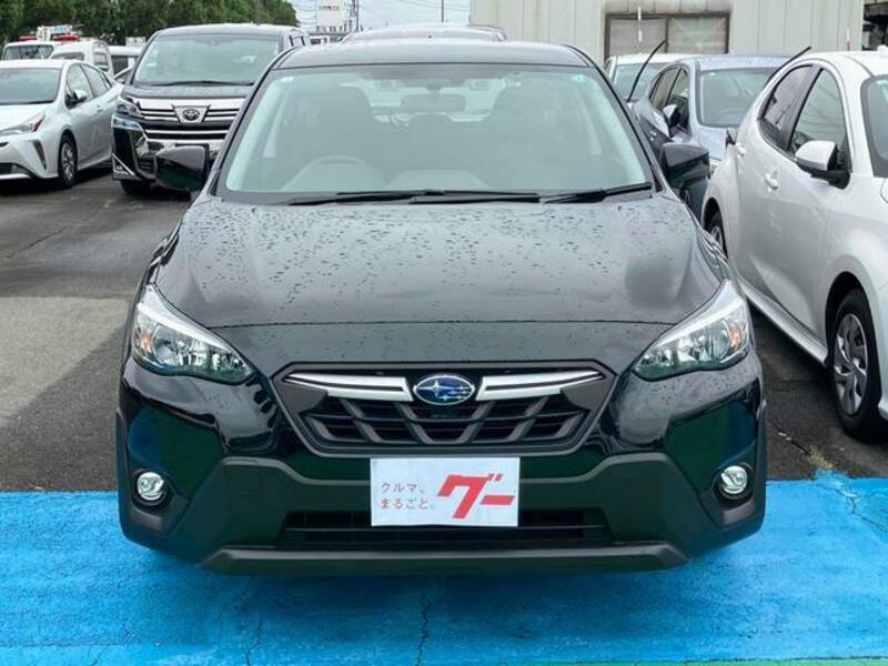 XV