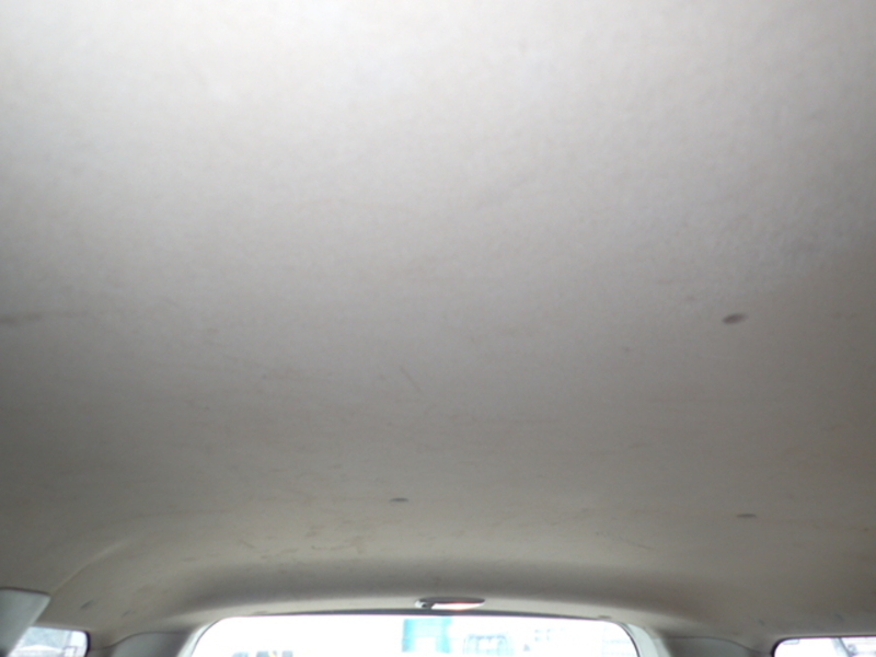SUCCEED VAN
