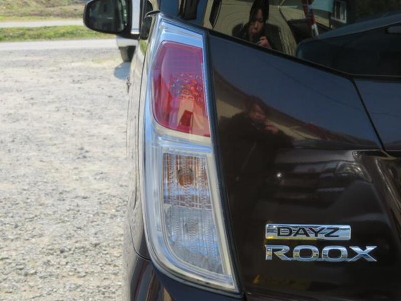 DAYZ ROOX