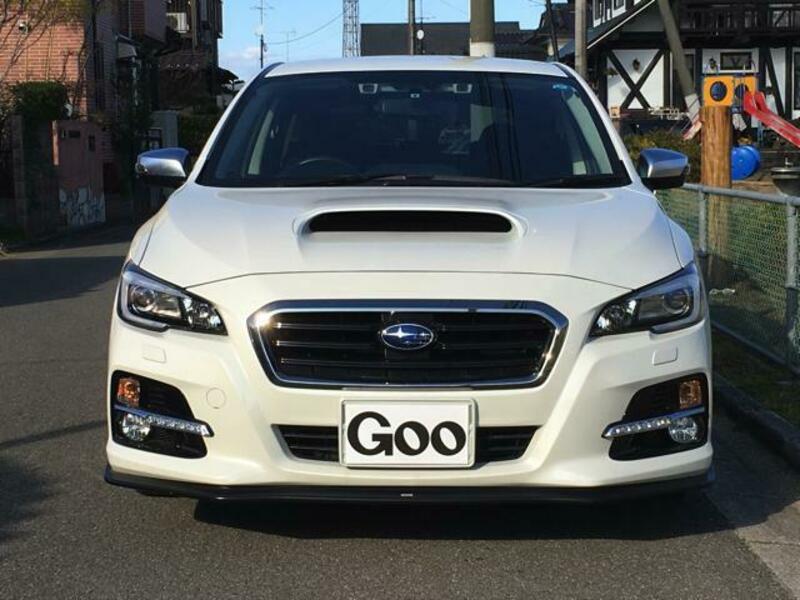 LEVORG