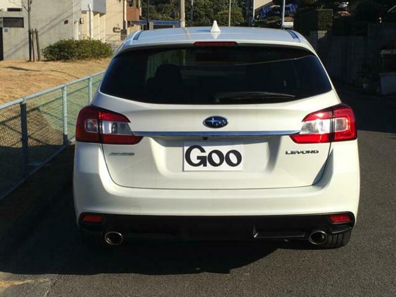 LEVORG