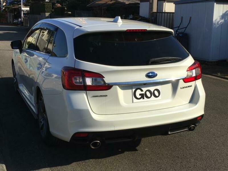 LEVORG