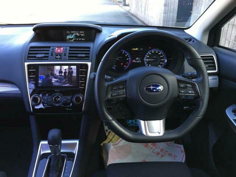 LEVORG