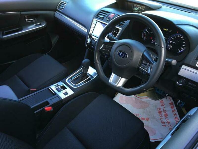 LEVORG