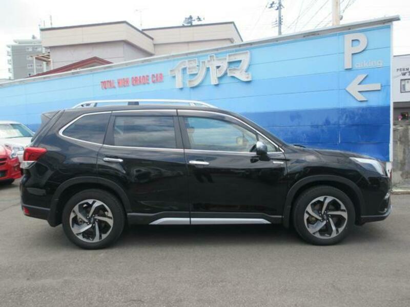 FORESTER