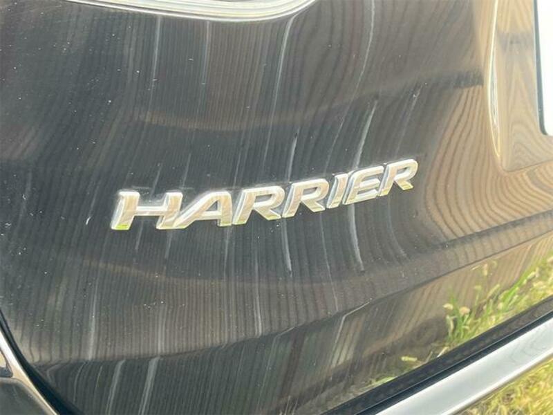 HARRIER