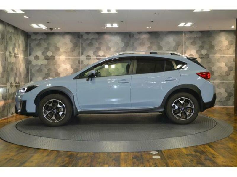 XV