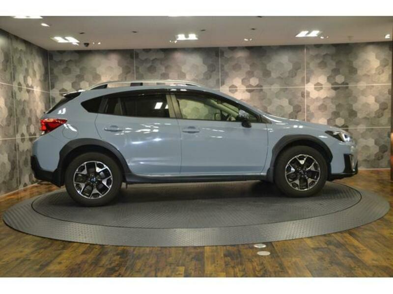 XV
